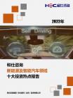 汽车整车-行业报告-Z6尊龙凯时