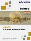境外投资情形-行业报告-Z6尊龙凯时