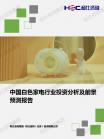 家电数码-行业报告-Z6尊龙凯时