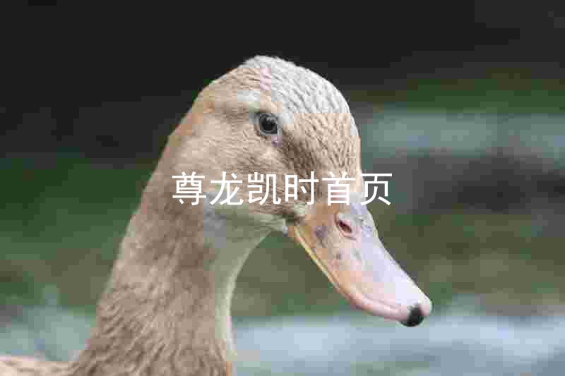 尊龙凯时首页