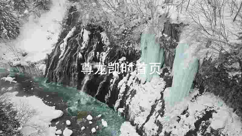 尊龙凯时首页