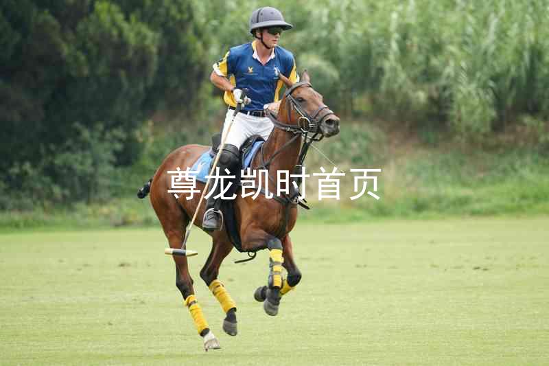 尊龙凯时首页